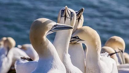 爱游戏app-电竞赛事奖金大揭秘：金钱背后的竞争与压力，电竞比赛总奖金